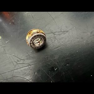 Pandora space holder charm
